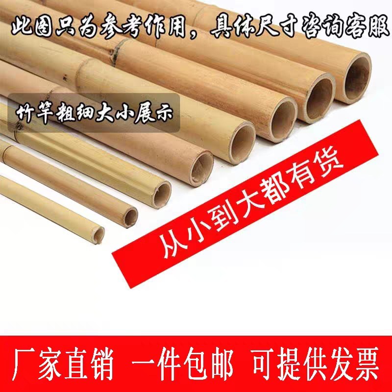 长期出售1—5公分山竹菜架竹防腐竹