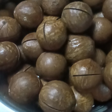夏威夷果