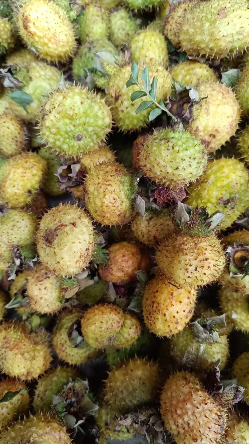 玉米须，野菊花，刺梨