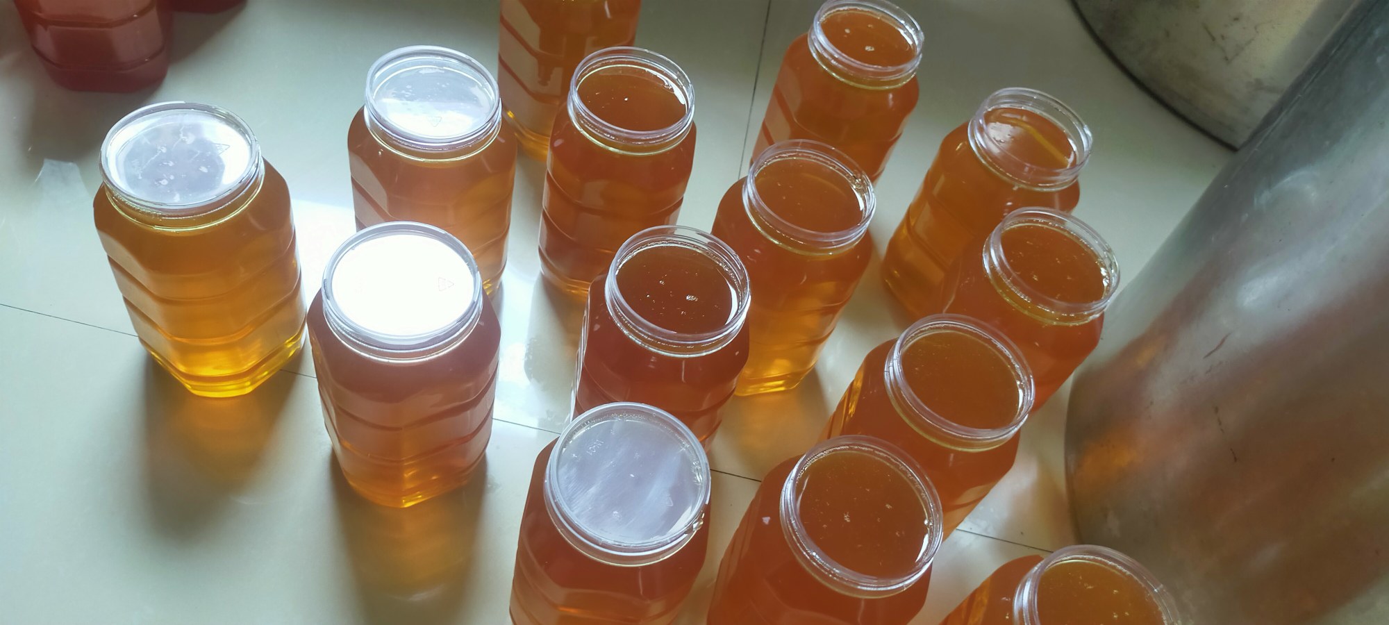 古埃及陶罐中发现的古老蜂蜜