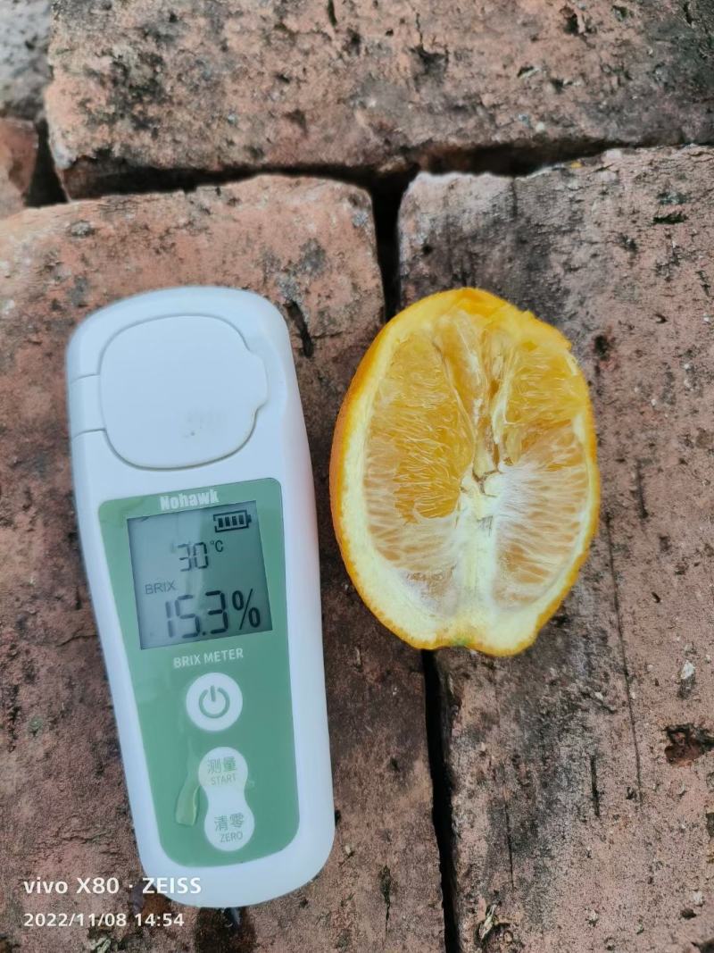 纽荷尔甜橙产地直销爆汁纯甜枝头鲜果电商大量走货一手货源