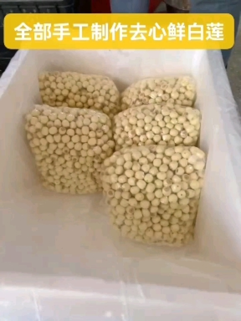 通心白莲子新鲜白莲，江西手工通心莲，大量供应