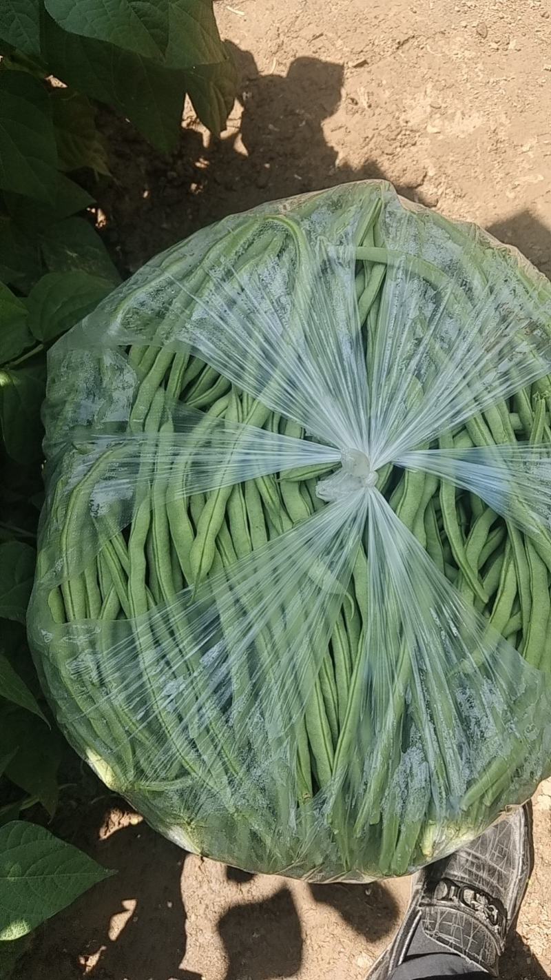 精品豆王