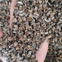 鼠妇虫产地直发一手货源量大从优