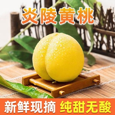 正宗【湖南炎陵黄桃】脆甜红心应季新鲜水果现摘现发净重