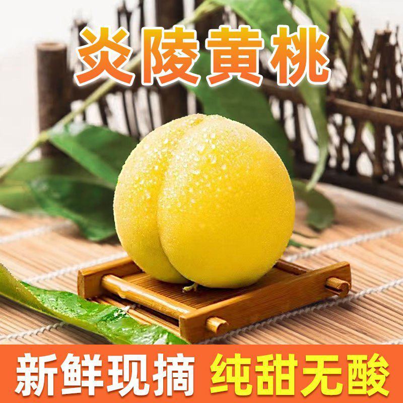 正宗【湖南炎陵黄桃】脆甜红心应季新鲜水果现摘现发净重
