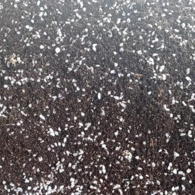 云南产地直发育苗基质专业的育苗基质针对蔬菜茄果育苗栽培