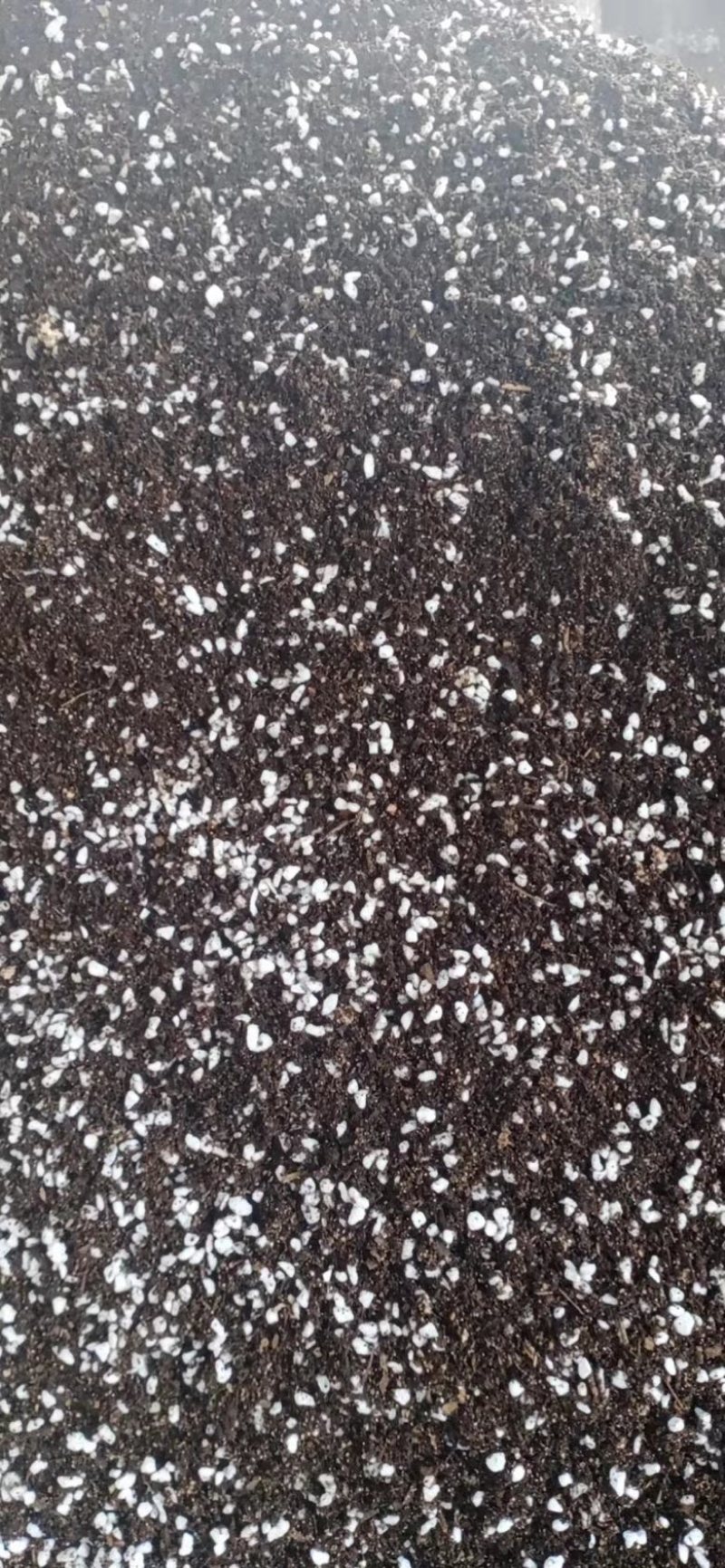 云南产地直发育苗基质专业的育苗基质针对蔬菜茄果育苗栽培