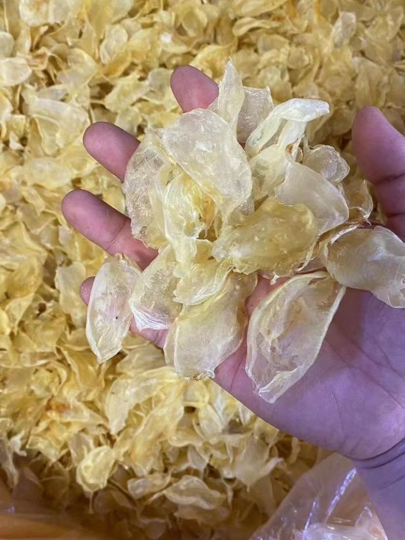 鸡蛋胶花胶各种规格齐全一手货源支持一件代发