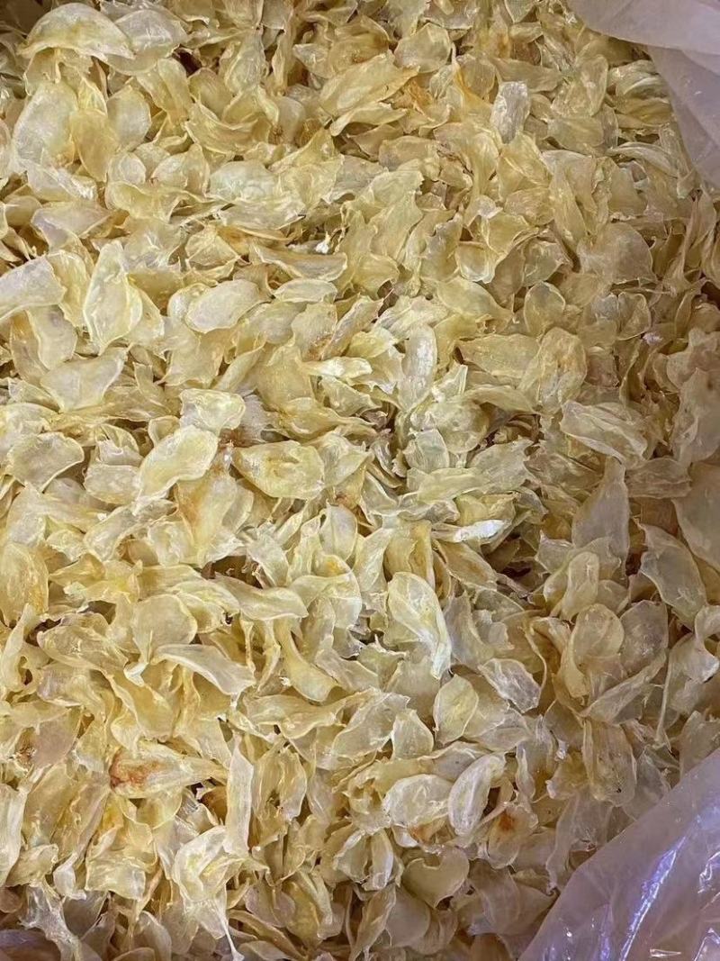 鸡蛋胶花胶各种规格齐全一手货源支持一件代发