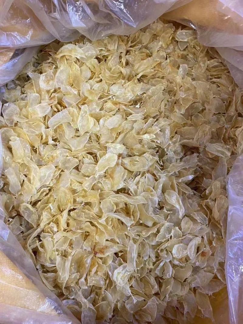 鸡蛋胶花胶各种规格齐全一手货源支持一件代发