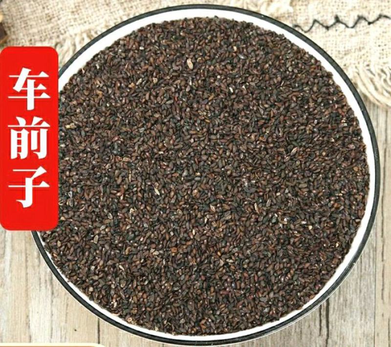 车前子道地中药材车前子车前草籽气味清香泡水泡茶