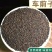 车前子道地中药材车前子车前草籽气味清香泡水泡茶