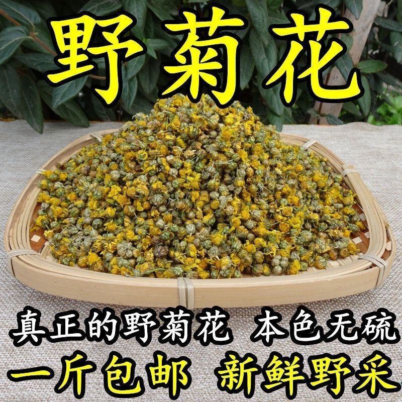 野菊花正宗野生新鲜野菊米小胎菊花小米菊苦菊泡水散装珍珠菊