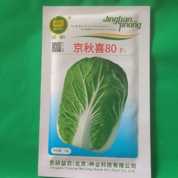 京研京秋喜80白菜种子