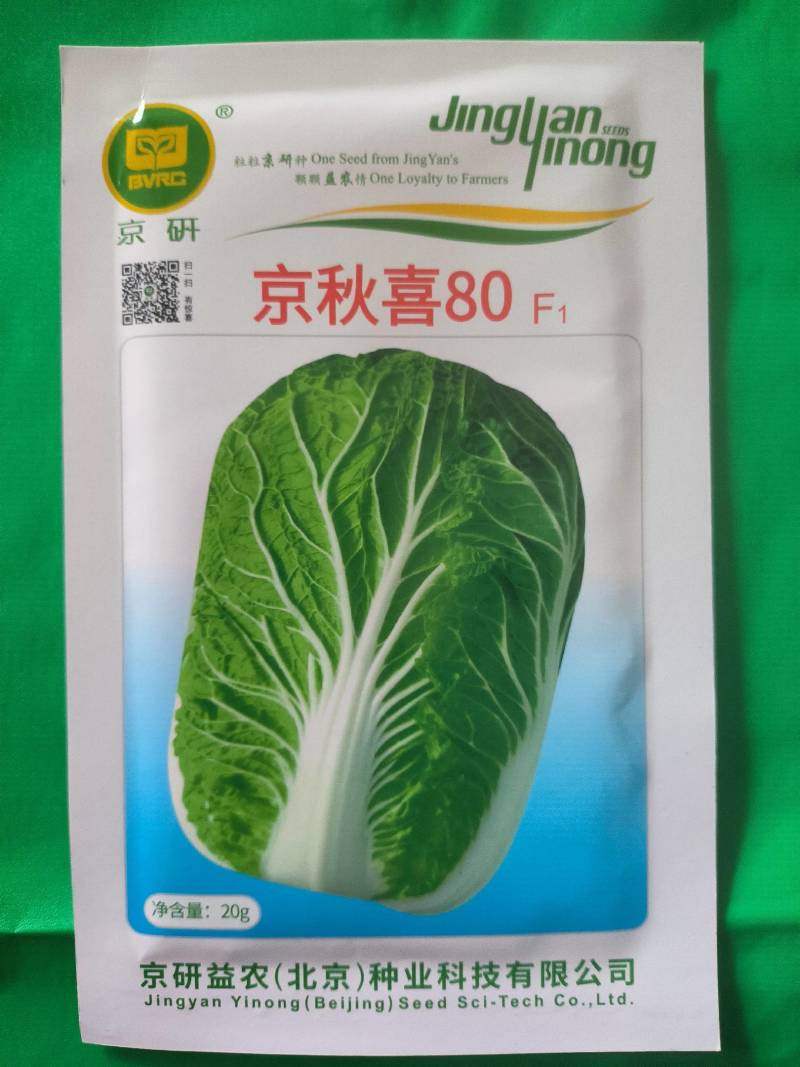 京研京秋喜80白菜种子