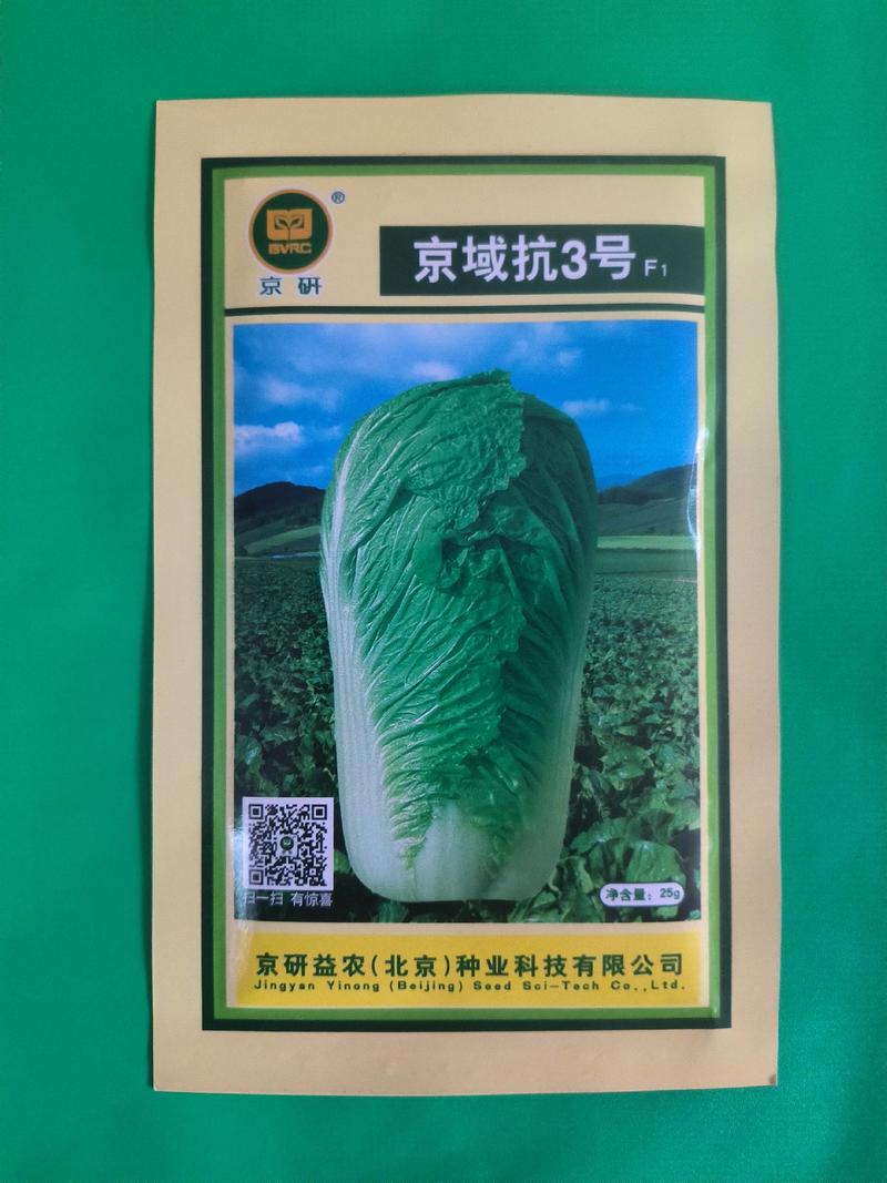 北京京研域抗3号白菜种子