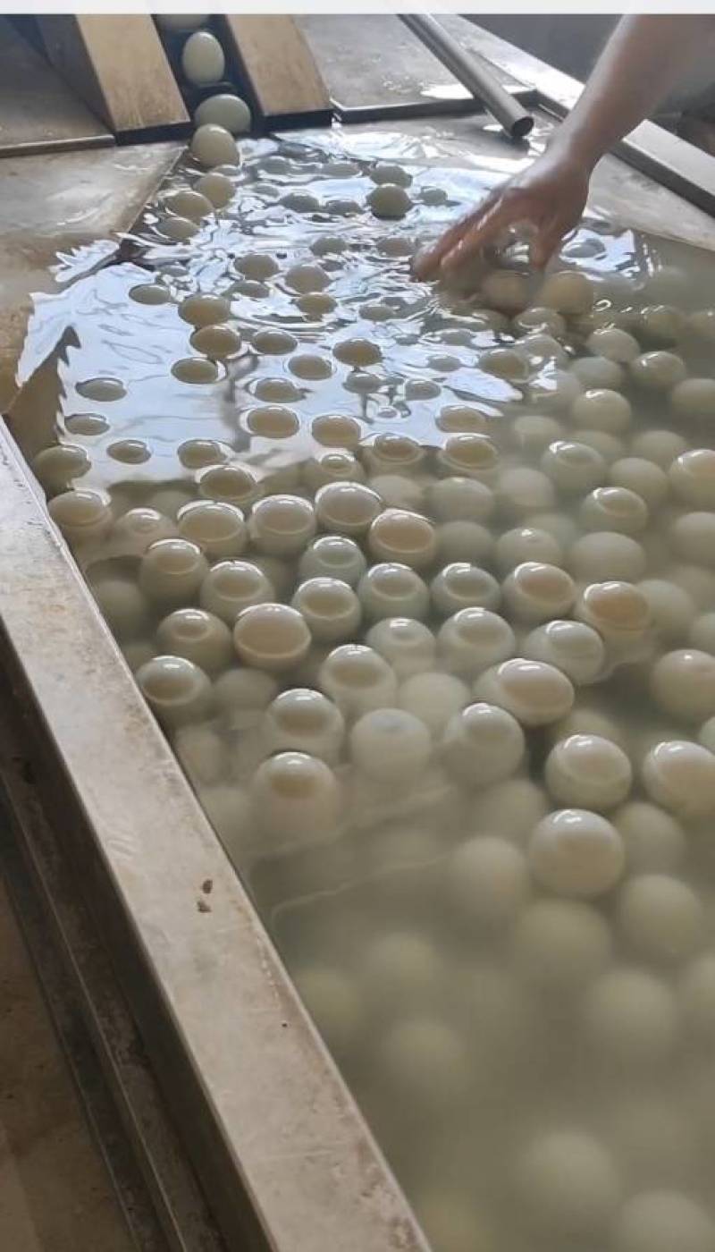 厂家常年大批量批发咸鸭蛋，烤鸭蛋，有需要的来一亩田看货