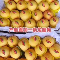 陕西省礼泉县脆甜真品黄金桃大量供应中