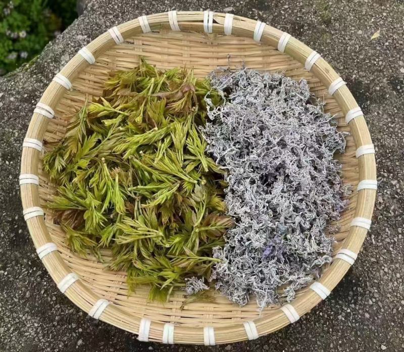 张家界莓茶--龙须茶预售_价格详谈