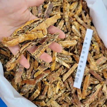 瓜蒌多种规格产地货源大货供应七彩百草中药材批发