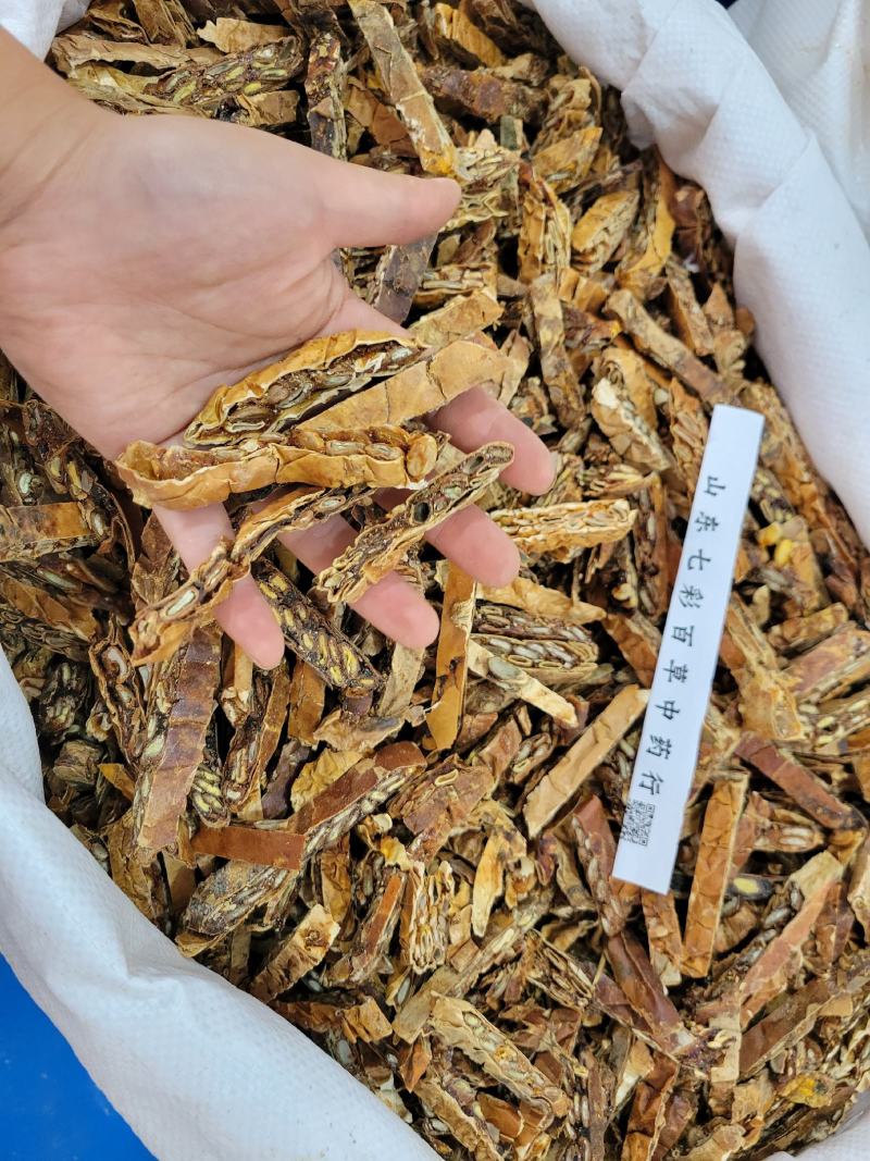 瓜蒌多种规格产地货源大货供应七彩百草中药材批发