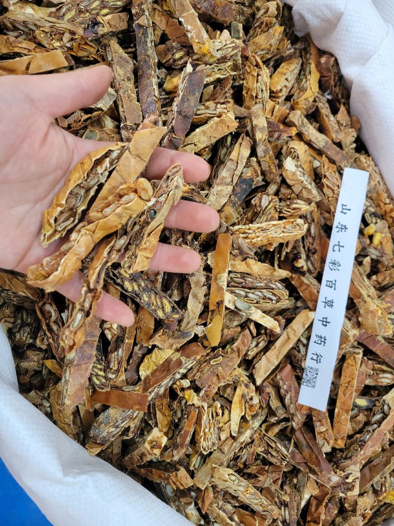 瓜蒌多种规格产地货源大货供应七彩百草中药材批发