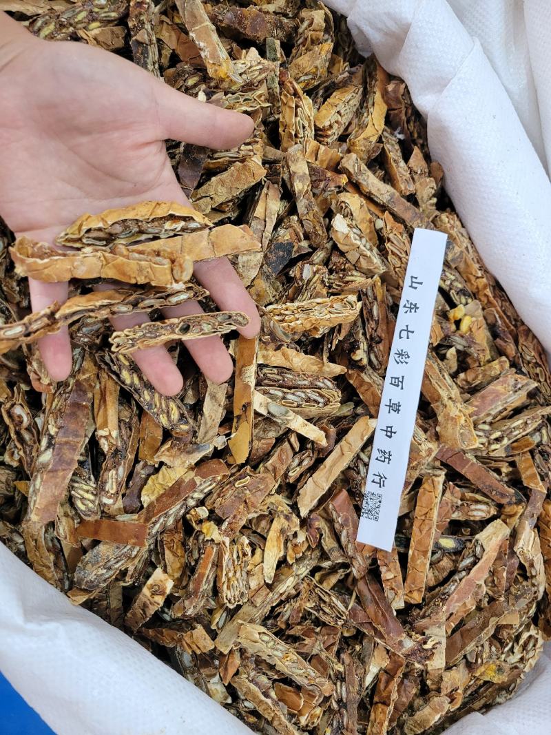 瓜蒌多种规格产地货源大货供应七彩百草中药材批发