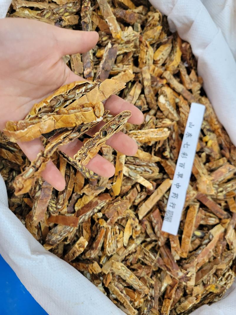瓜蒌多种规格产地货源大货供应七彩百草中药材批发