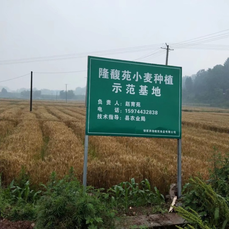 麦酱干粉调味包，厂家直发质量保证，欢迎选购