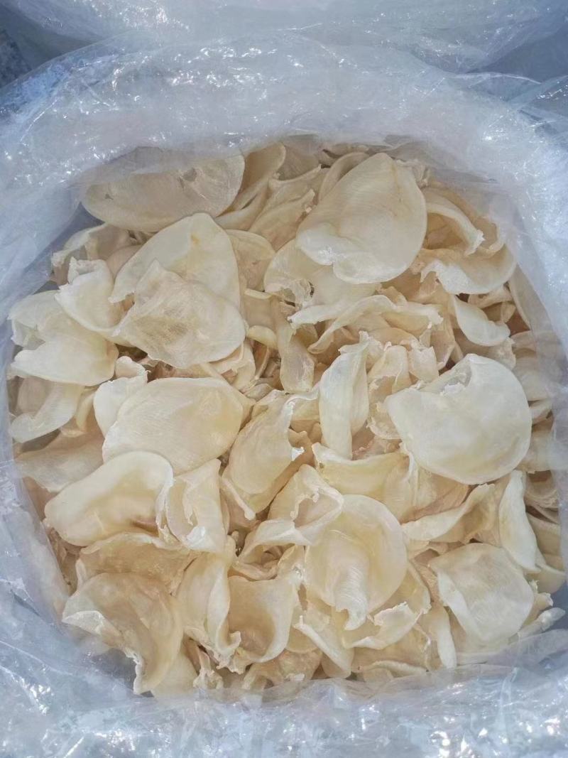 鱼肚，鱼胶，干度好，一手货源，量大从优，