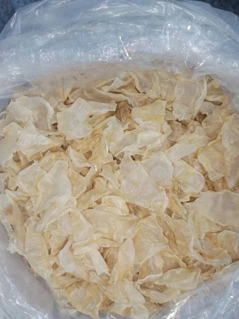 鱼肚，鱼胶，干度好，一手货源，量大从优，