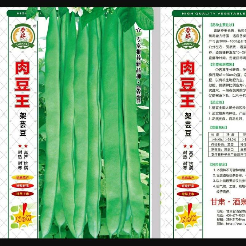 红花抗病高架肉豆种子，基地直供。