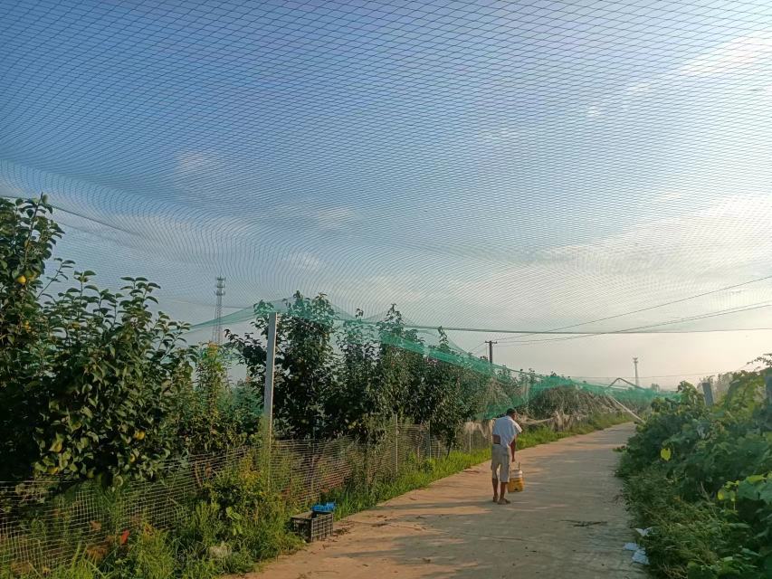 草铵膦除草剂在果园行间喷洒