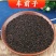 车前子道地中药材车前子干净无杂香味浓郁泡水泡茶
