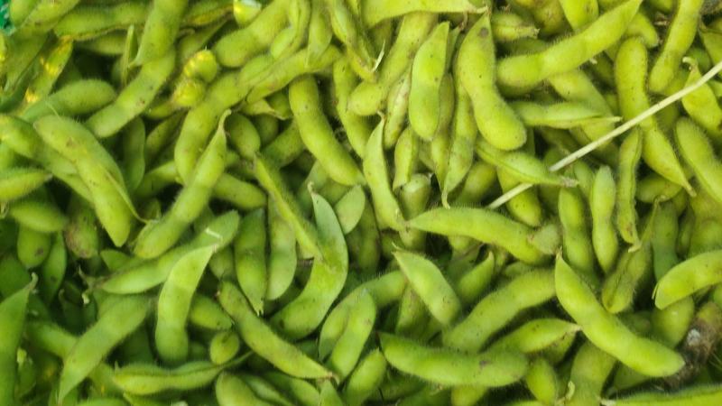 翠绿宝鲜毛豆荚