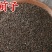 车前子道地中药材车前子干净无杂香味浓郁泡水泡茶