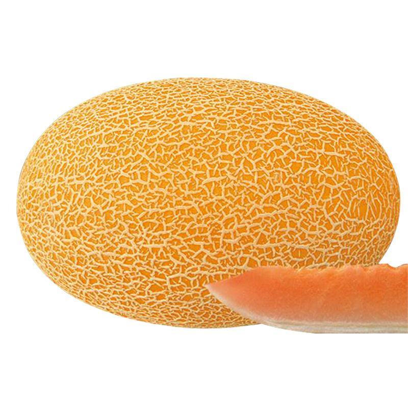 黄金蜜25号瓜苗银蒂蜜瓜苗哈蜜瓜苗哈密瓜苗包回收
