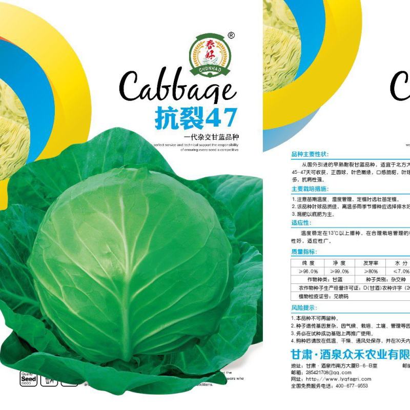 极早熟进口球形耐裂甘蓝品种，早上市口感好，基地直供。