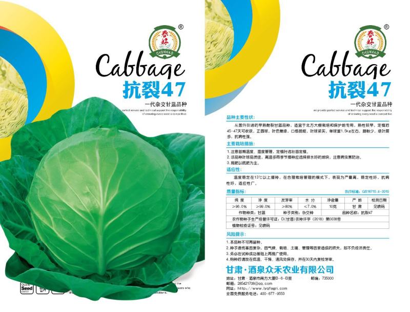 极早熟进口球形耐裂甘蓝品种，早上市口感好，基地直供。