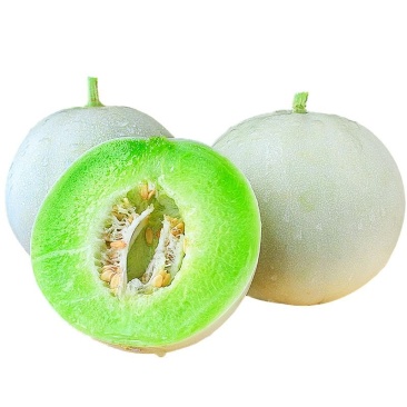 玉姑甜瓜苗圆网甜瓜苗玉菇苗绿肉正圆,冰淇淋甜瓜苗