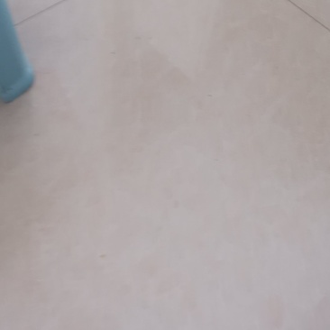 山西柏树籽