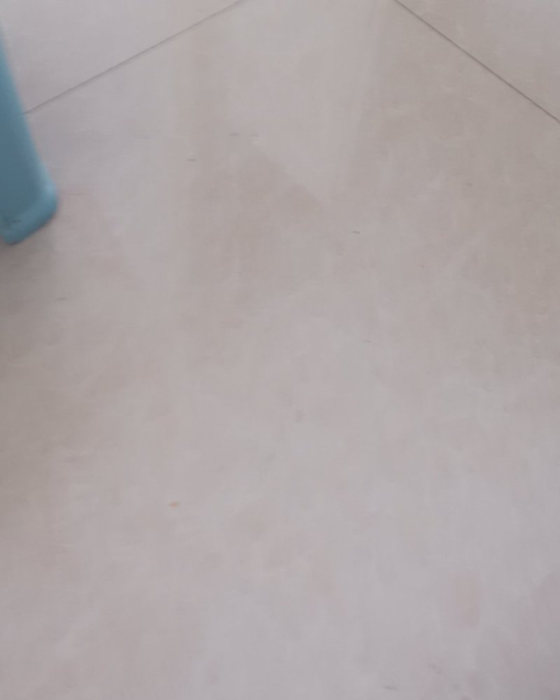 山西柏树籽