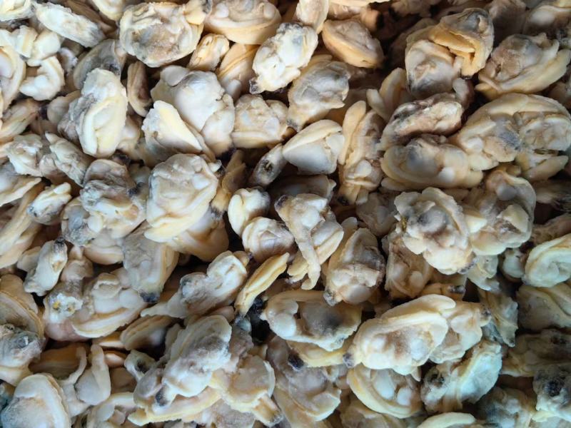 江苏连云港花蛤捞汁花甲肉无冰大花甲肉欢迎致电咨询