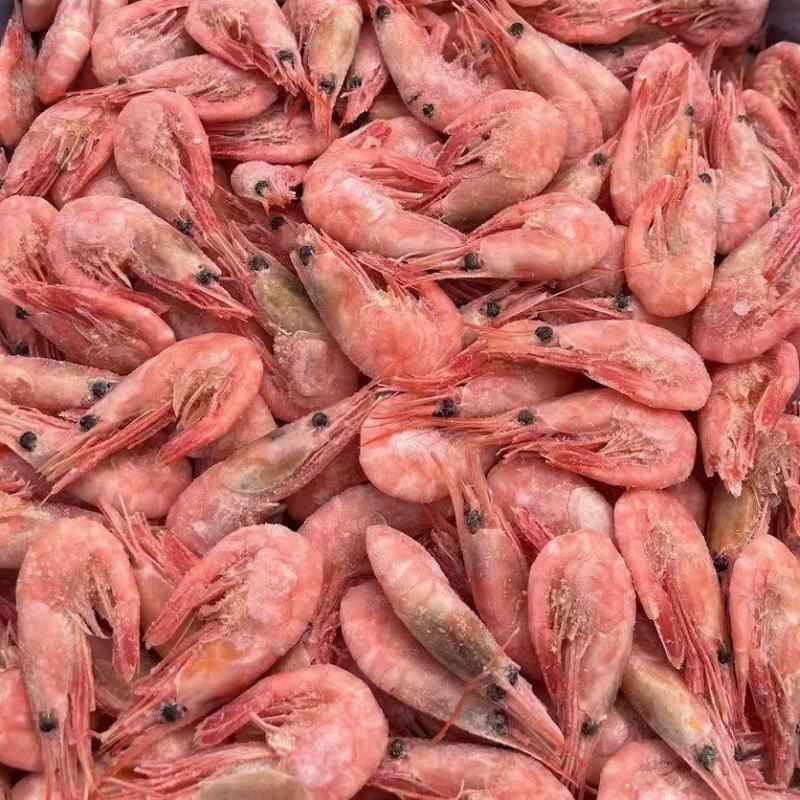 江苏连云港北极虾北极甜虾腹籽甜虾欢迎咨询实地看货