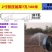 农用微喷带喷水带滴灌带雾化灌溉微喷喷灌滴灌设备自动浇水器