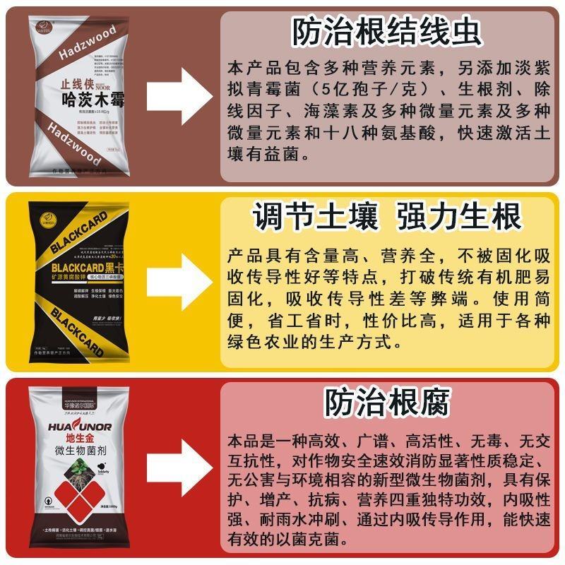 专治根结线虫根腐套餐内含枯草芽孢杆菌哈茨木霉菌淡紫拟青霉