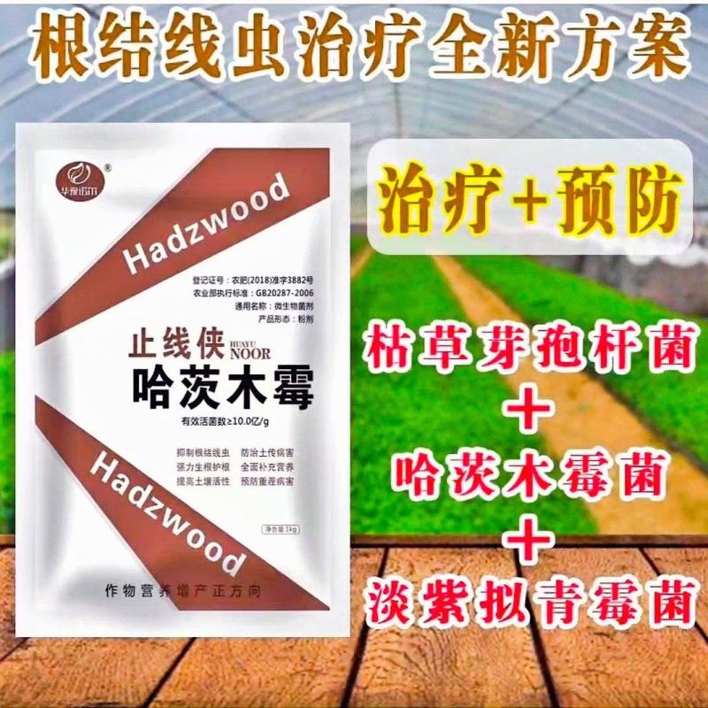 专治根结线虫根腐套餐内含枯草芽孢杆菌哈茨木霉菌淡紫拟青霉