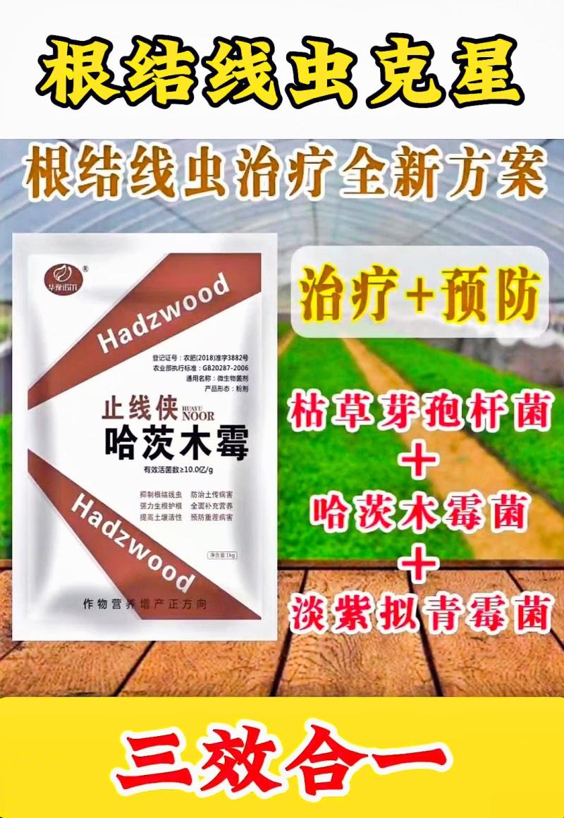 专治根结线虫根腐套餐内含枯草芽孢杆菌哈茨木霉菌淡紫拟青霉
