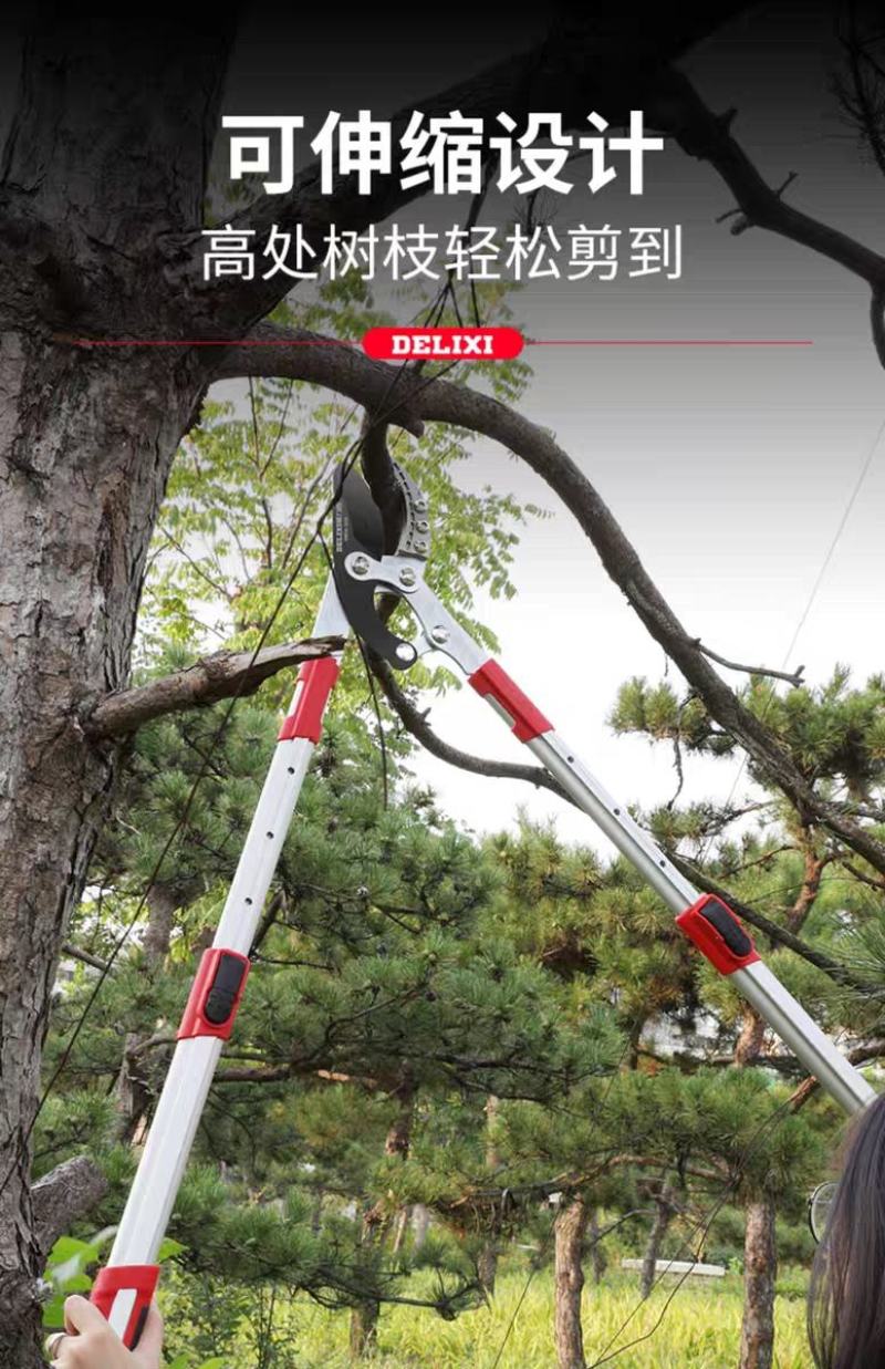 德力西园林剪枝剪树枝修剪园艺果树修枝粗枝剪刀大力剪大剪子